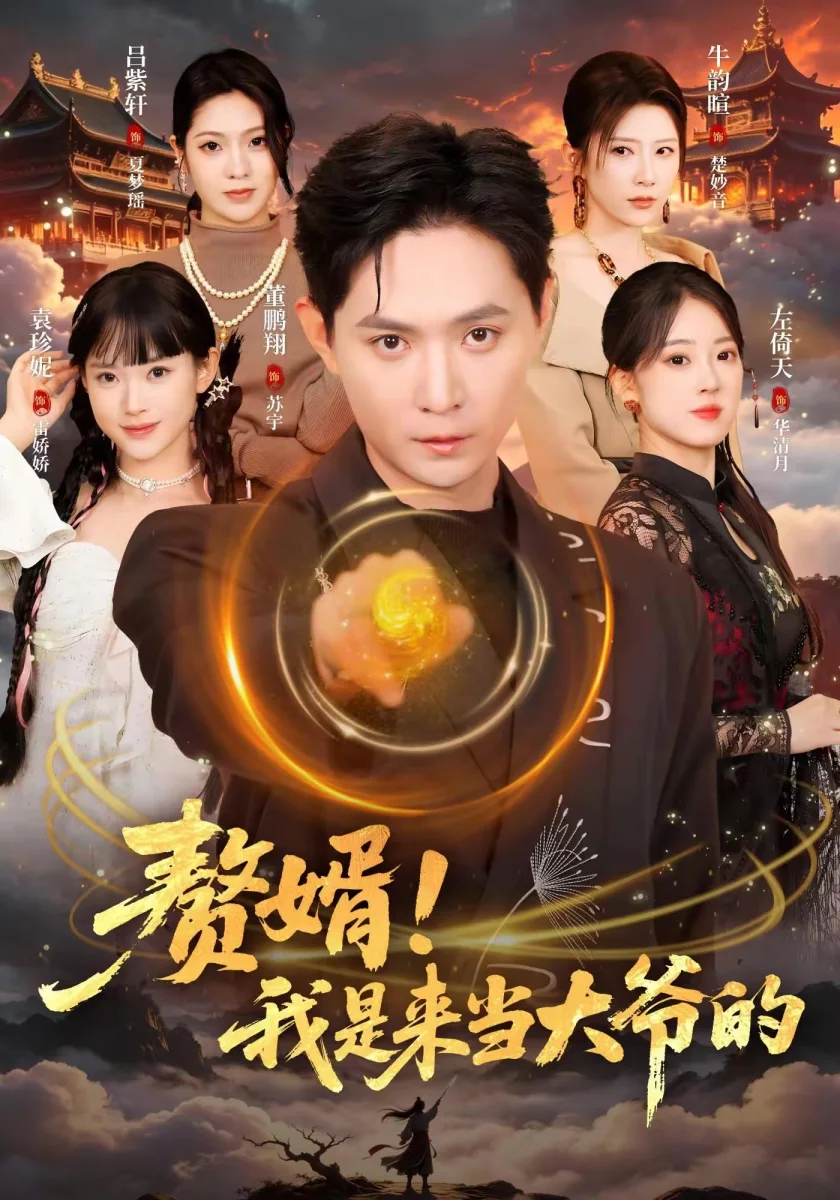 赘婿！我是来当大爷的高清海报